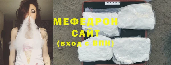 мдпв Ельня