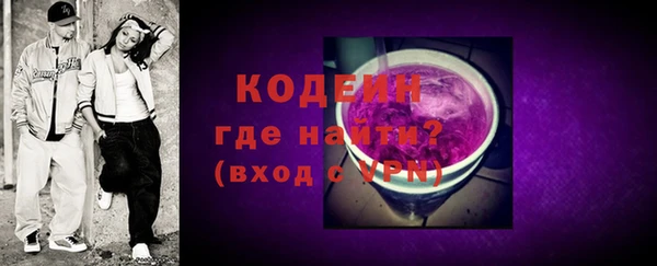 дурь Гусев