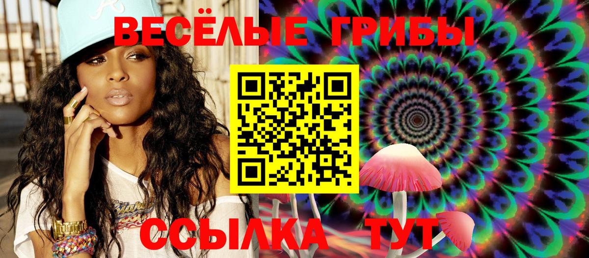 Псилоцибиновые грибы MAGIC MUSHROOMS  Вход с VPN  Шадринск 